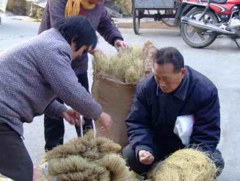 傳統(tǒng)手工粉絲制作10