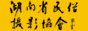湖南民俗攝影協(xié)會(huì)網(wǎng)站
